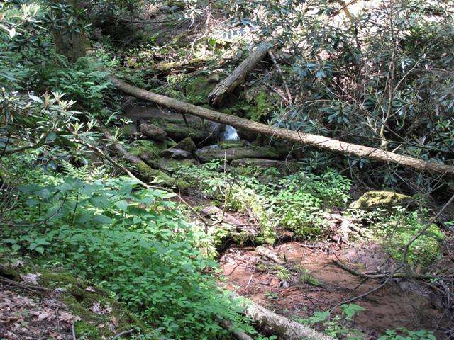 IMG_0060 (Small).JPG IMG_0060 (Small).JPG